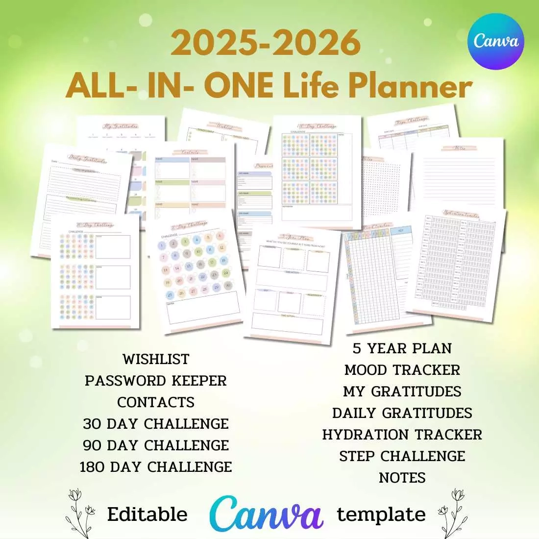 2025 2026 All in one Life Planner MasterBundles