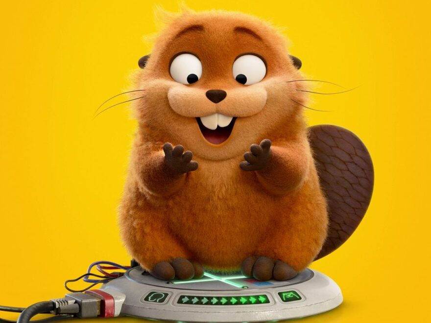 2026 Release Schedule