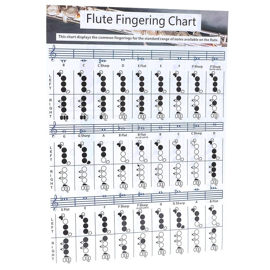 Amazon Flute Fingering Chart Full Size Large Print Beginner Friendly Includes Notes Scales And Basic Fingering For Teacher Band Small 28x21cm Musical Instruments Amazon Flute Fingering Chart Full Size Large Print Beginner Friendly Includes Notes Scales And Basic Fingering For Teacher Band Small 28x21cm Musical Instruments