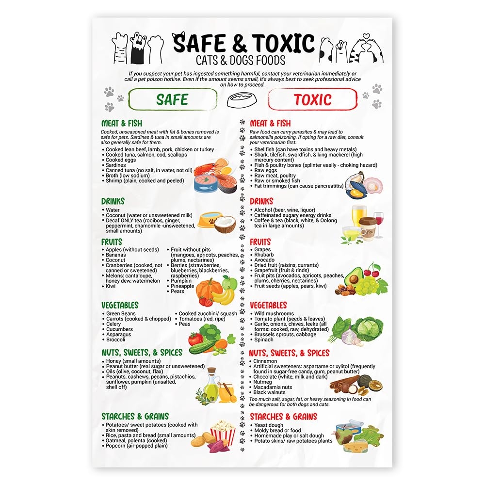 Printable List Of Toxic For Cats