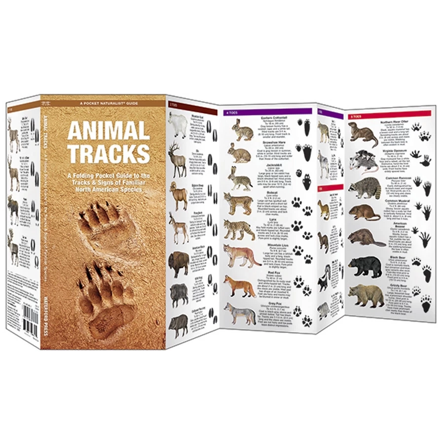 Printable Pocket Field Guides