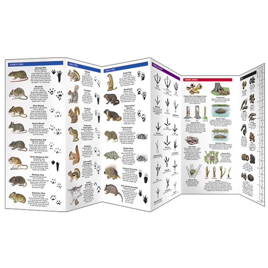 Animal Track Pocket Naturalist Guide Pocket Field Guide Nature Watch