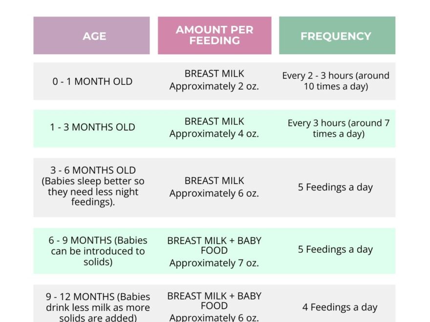 Baby Feeding Schedule Chart In Illustrator PDF Word Google Docs Download Template