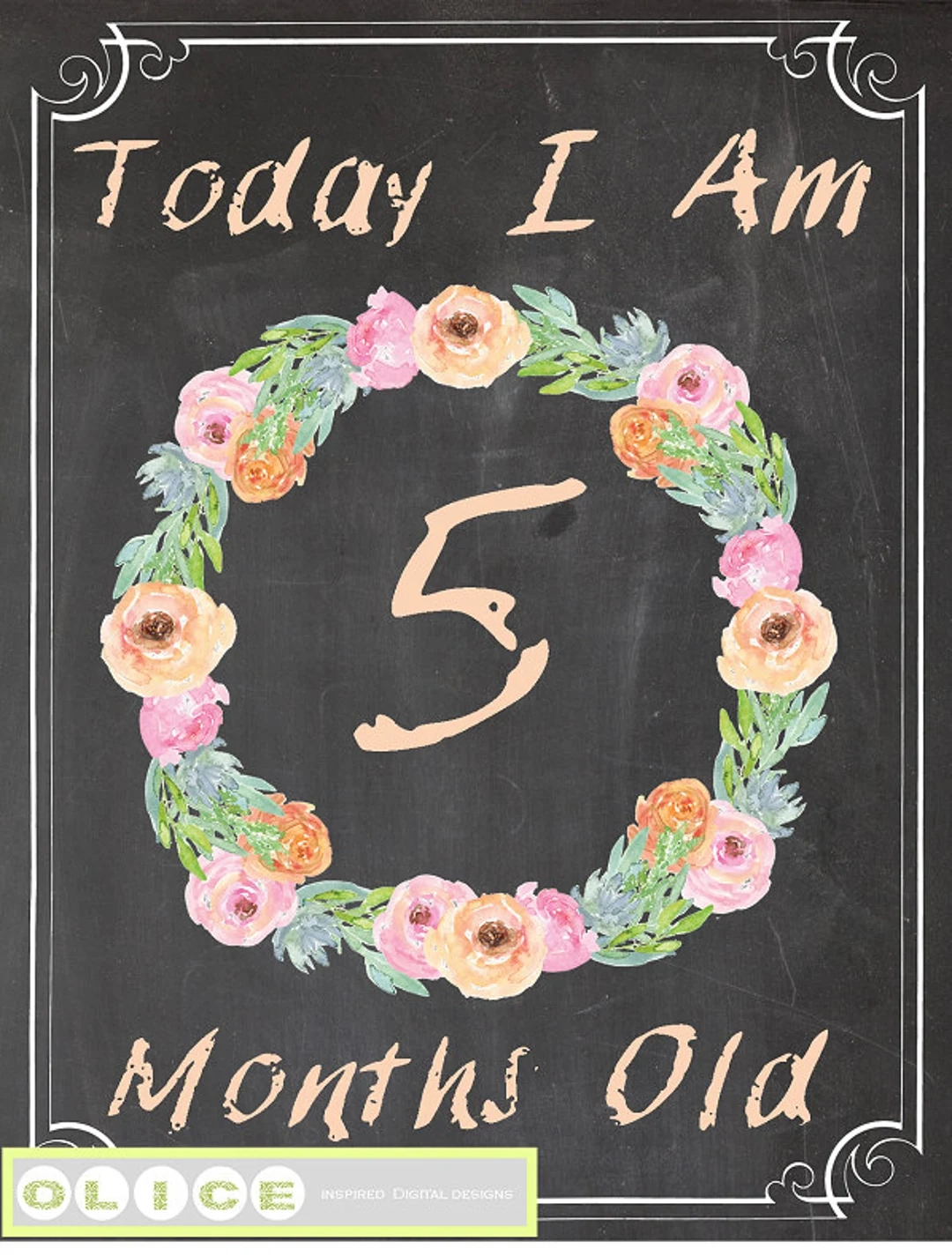 Baby Month Signs Printable