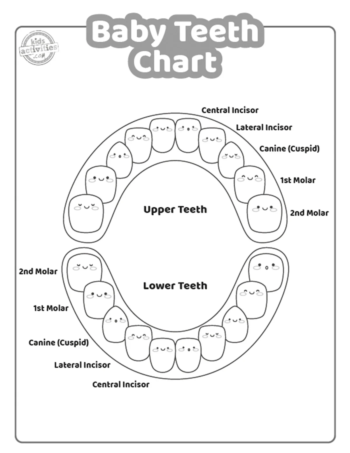 Printable Dental Tooth Chart Pediatric