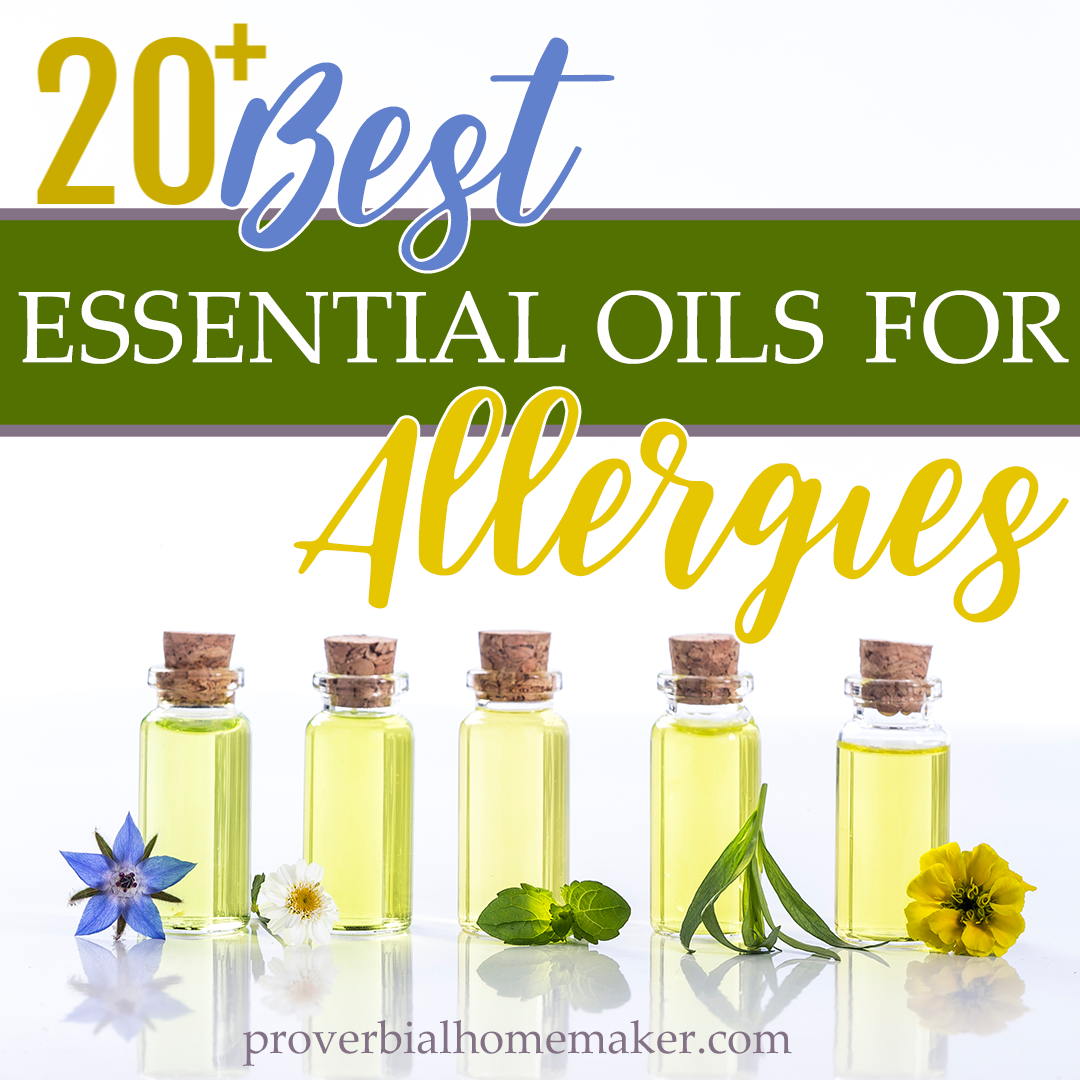 Best Essential Oils For Allergies Best Essential Oils For Allergies