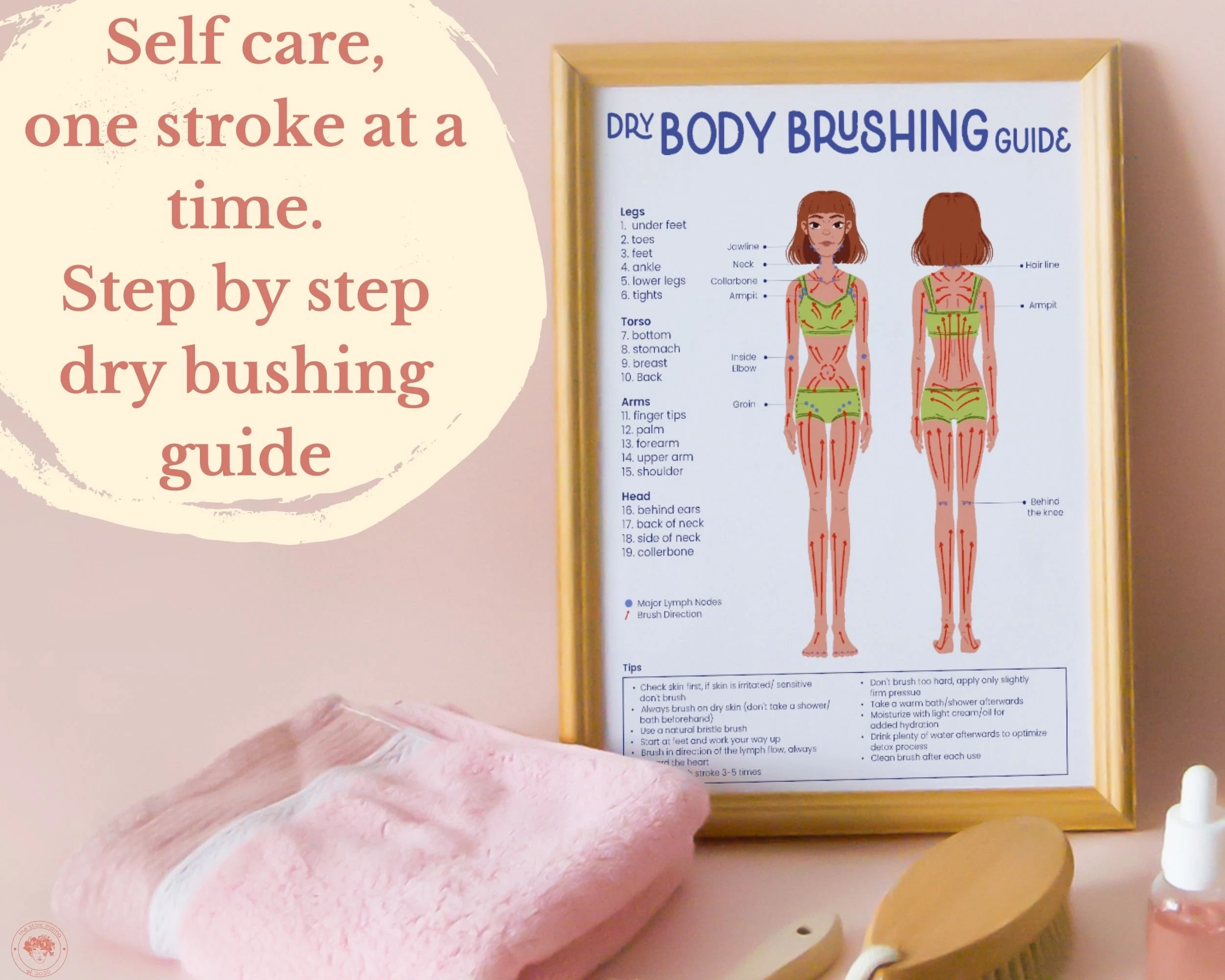 Body Brushing Chart Dry Body Brushing Guide Step By Step Dry Brushing Poster Body Detox Body Care Self Care Printable Etsy
