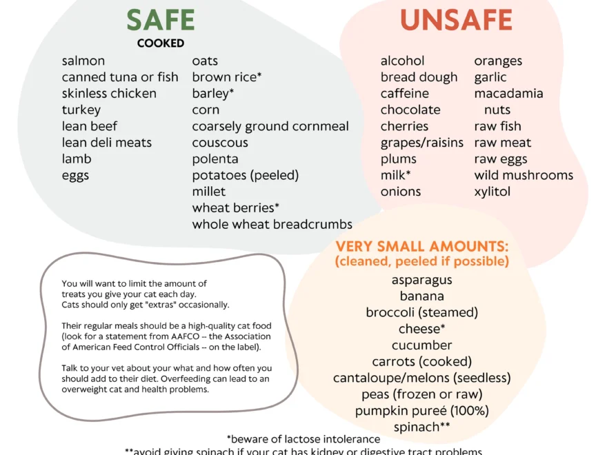 Cat Safe Unsafe Food List 8 5 X 11 DIGITAL DOWNLOAD Etsy
