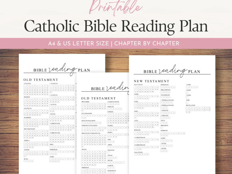 Catholic Bible Reading Tracker Chapter By Chapter Checklist Reading Log Daily Bible Study Plan A4 And US Letter Size Etsy