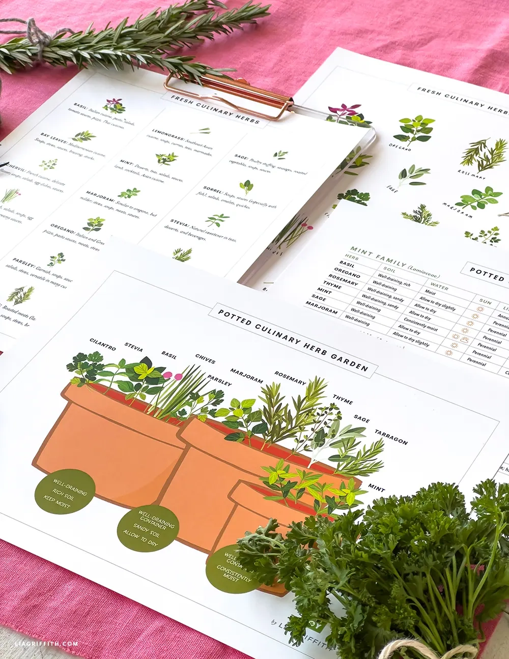 Cheat Sheets For Your Culinary Herb Garden Lia Griffith