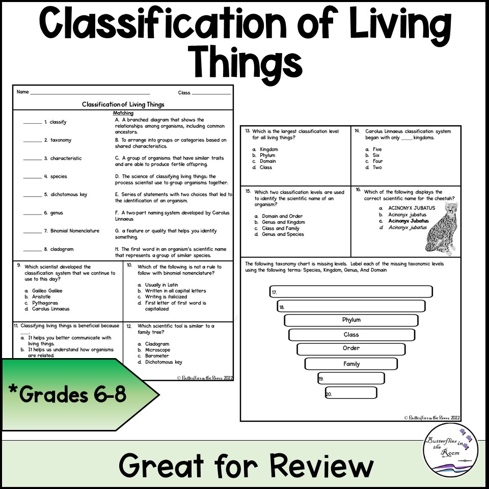 Order Of Classification Quiz Printable Order Of Classification Quiz Printable