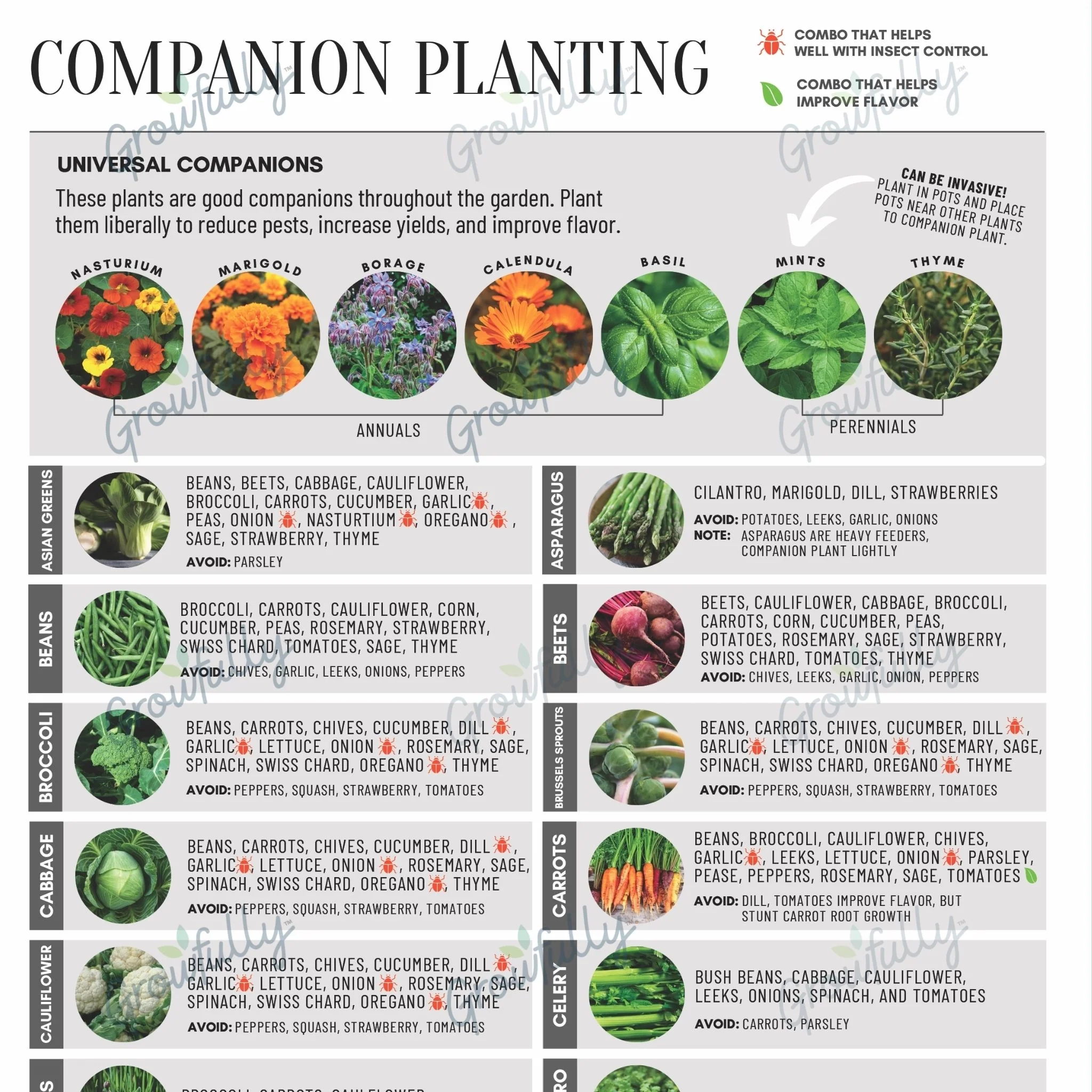 Companion Planting Chart Garden Journal Pages Growfully