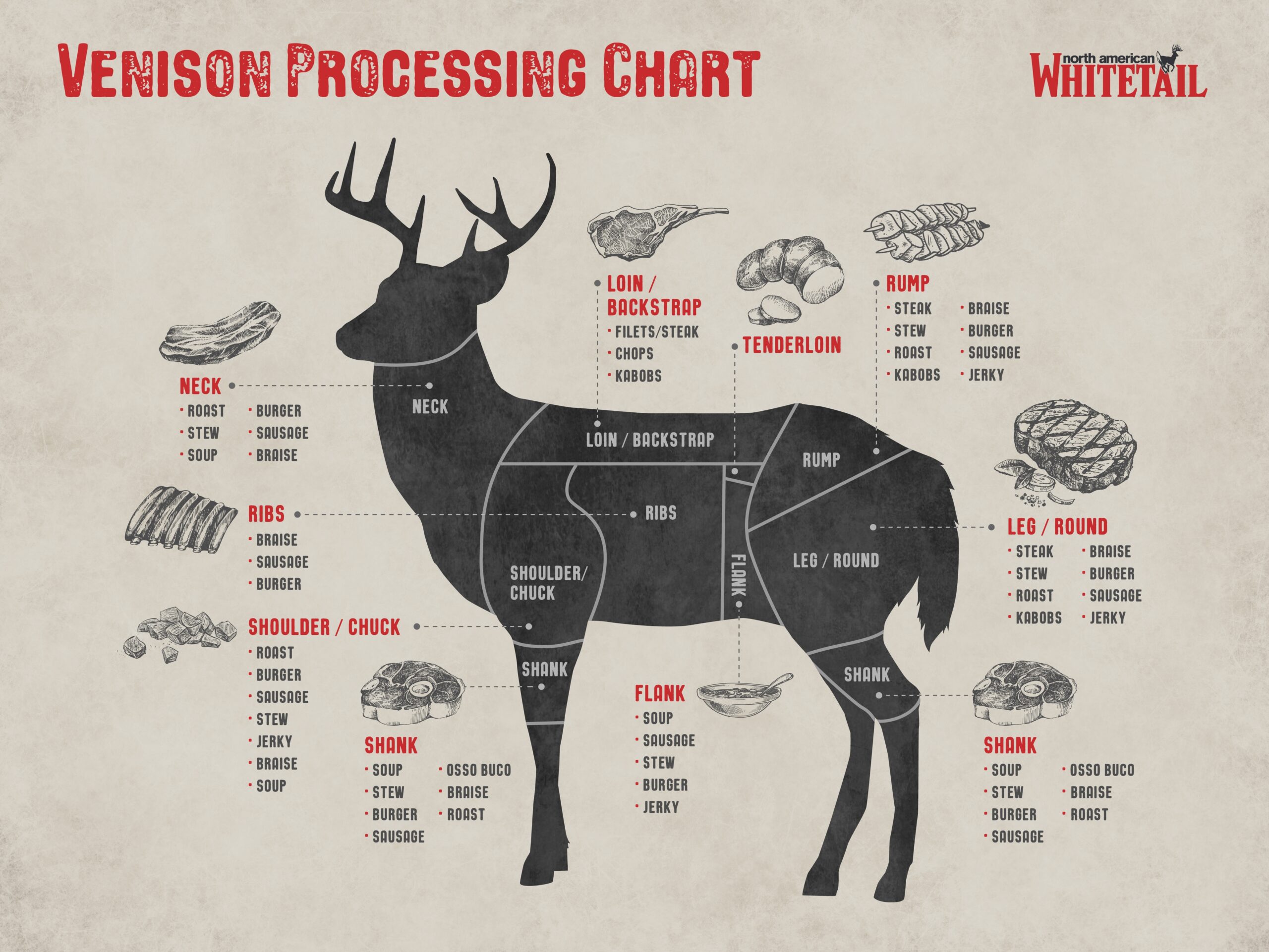 Deer Diagram Complete Guide To The Cuts Of Venison North American Whitetail