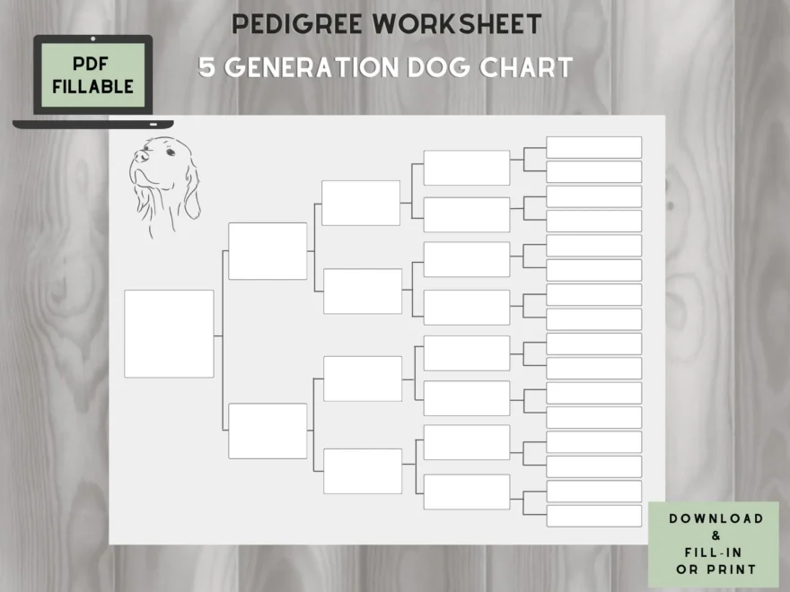 Dog Pedigree Chart 5 Generations On One Page Fillable PDF Etsy