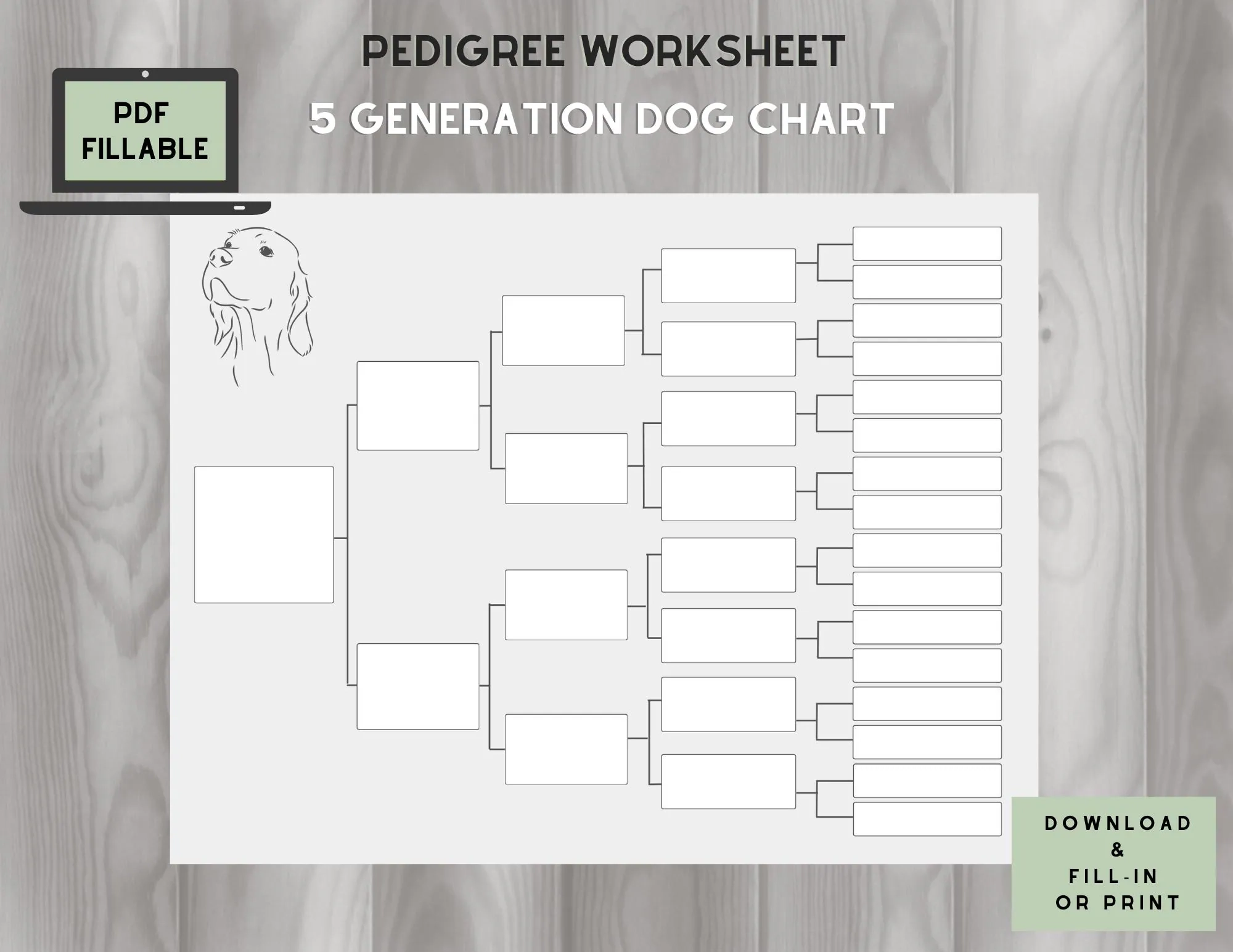 Dog Pedigree Chart 5 Generations On One Page Fillable PDF Etsy