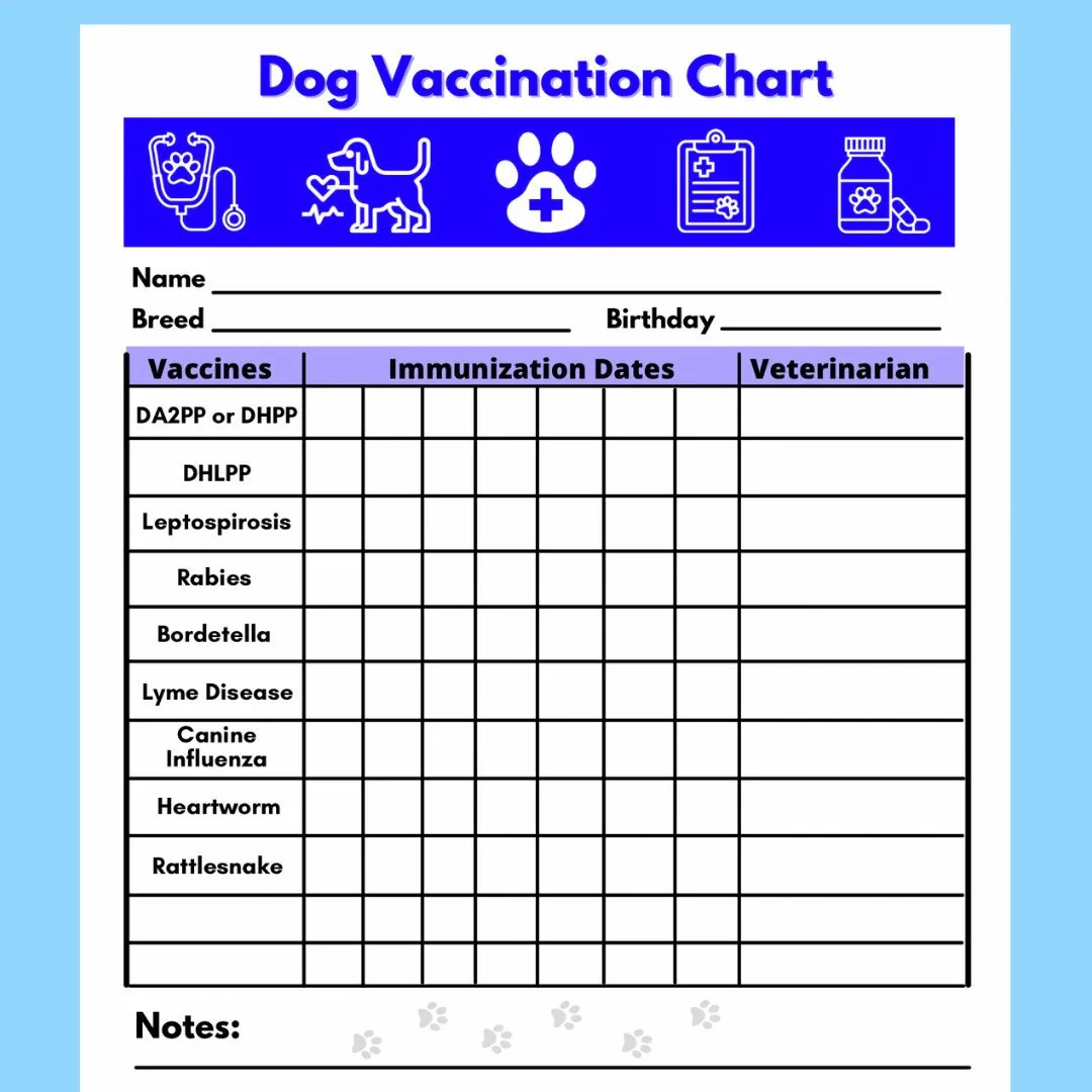 Dog Vaccine Printable Pet Printable Immunization Puppy Vaccinations Dog Health Digital Download Instant Download PDF Etsy Dog Vaccine Printable Pet Printable Immunization Puppy Vaccinations Dog Health Digital Download Instant Download PDF Etsy
