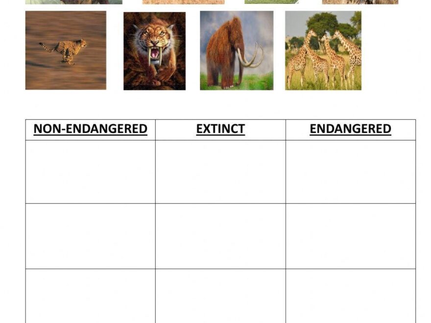 Extinct Or Enda Free Interactive Worksheets 2275235