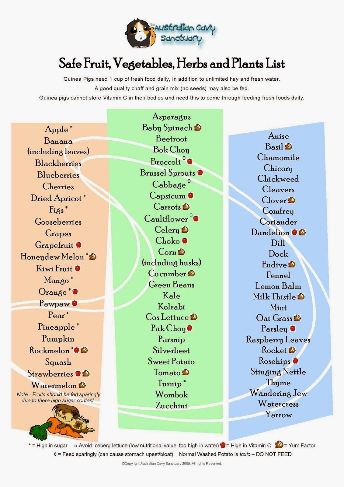 Printable Food List For Guinea Pigs