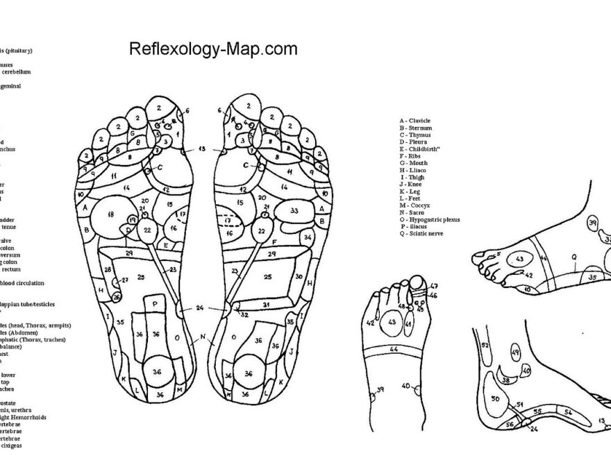 File Foot Reflexology Chart jpg Wikimedia Commons