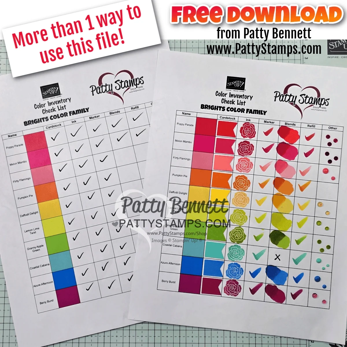 Free Download Color Inventory Check List