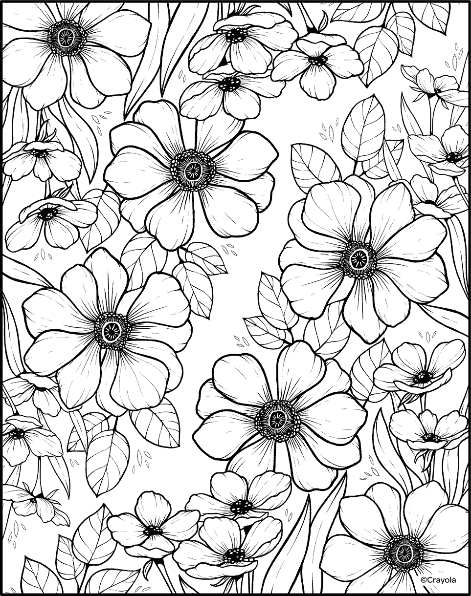 Free Printable Coloring Pages For Adults Crayola Free Printable Coloring Pages For Adults Crayola