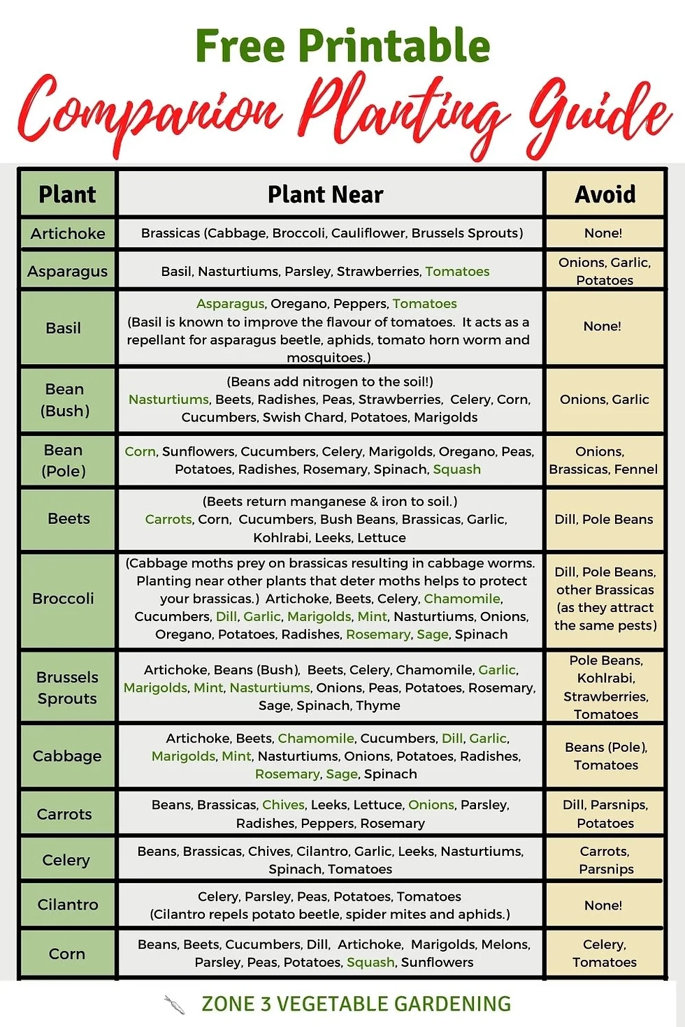 Gardening Companion Planting Chart Printable