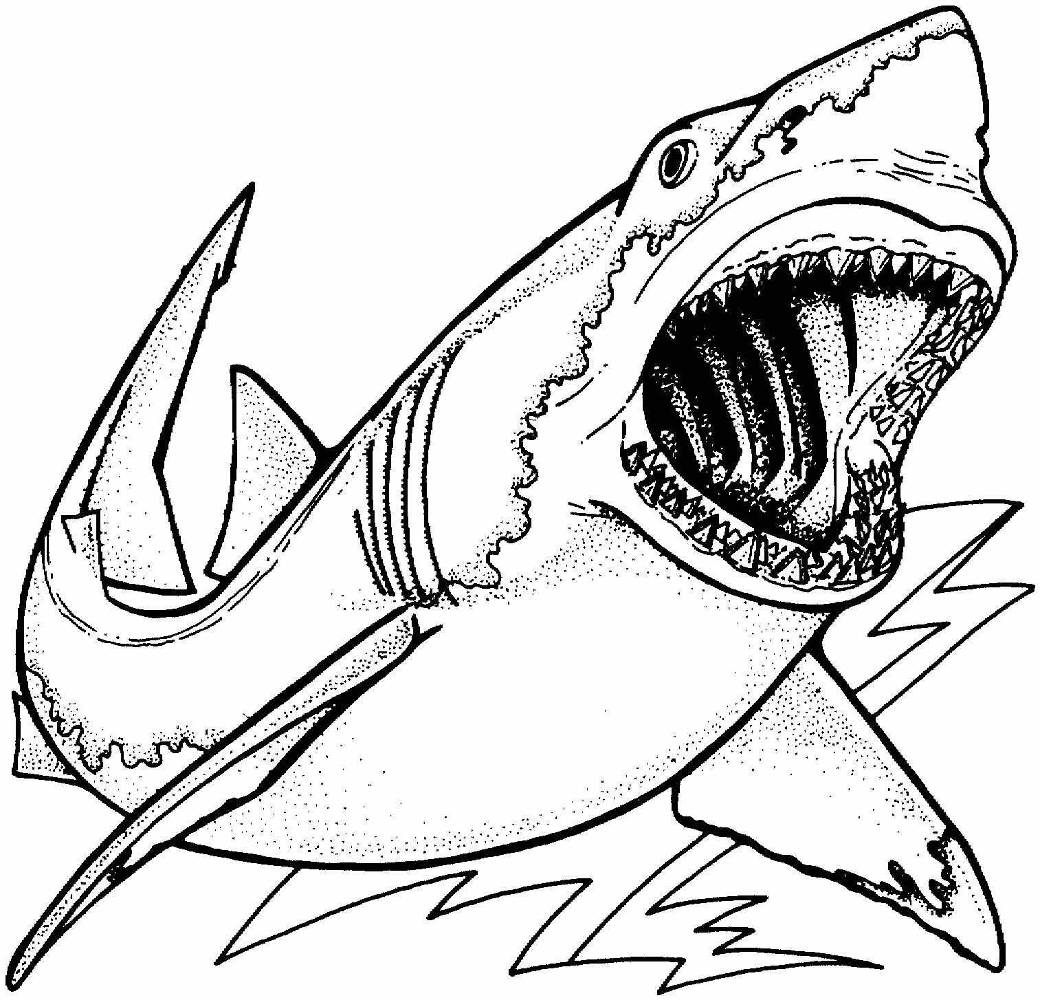Free Printable Shark Coloring Sheets Free Printable Shark Coloring Sheets