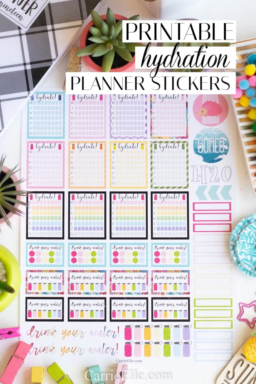 Girl Drink Your Water Printable Hydration Planner Stickers Carrie Elle