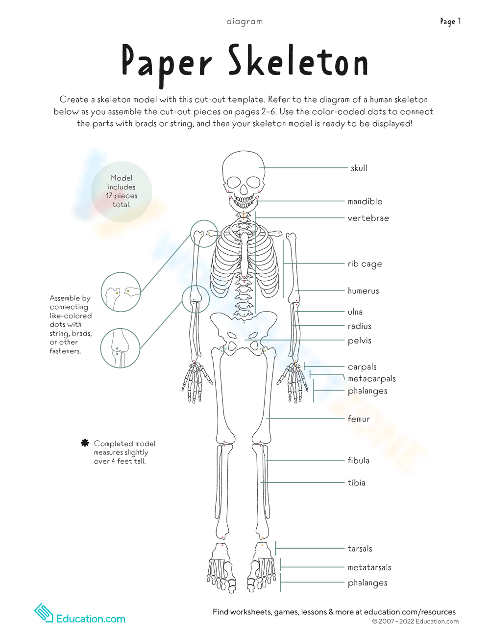 Grade 4 Bones Worksheets