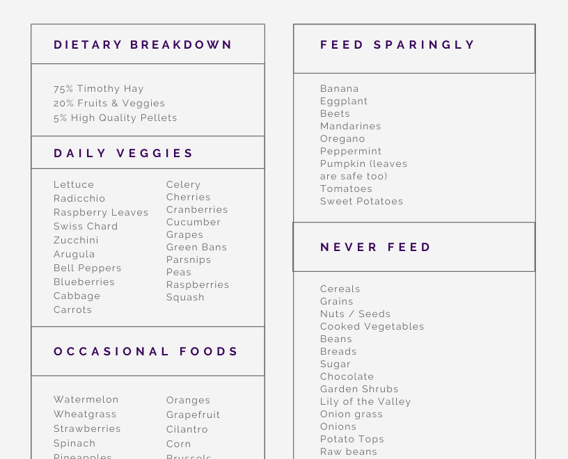 Guinea Pig Food List Printable 2025 Www kenyalogy