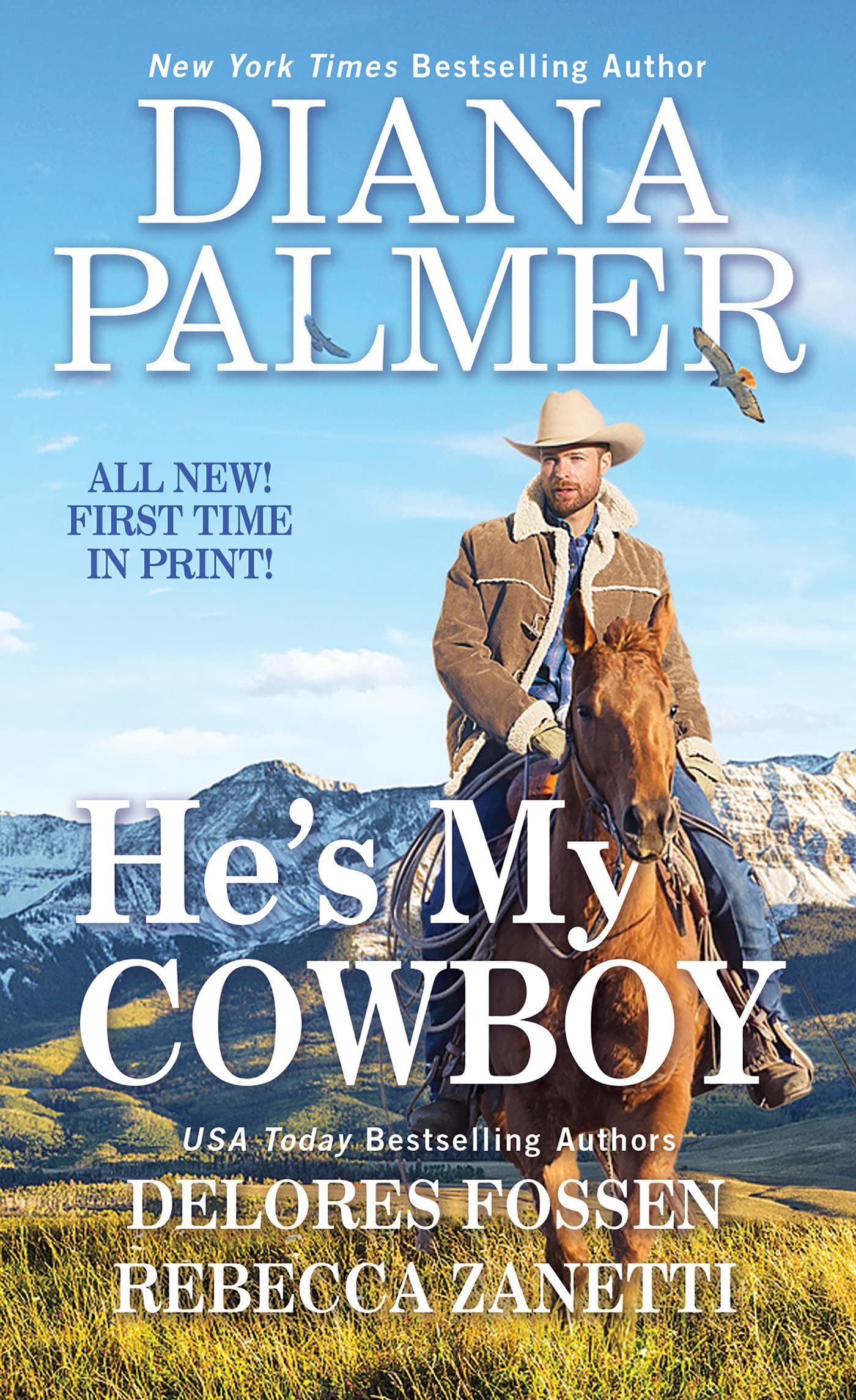 He s My Cowboy Rebecca Zanetti