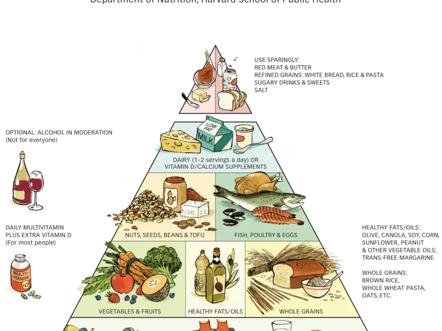 Healthy Eating Pyramid The Nutrition Source