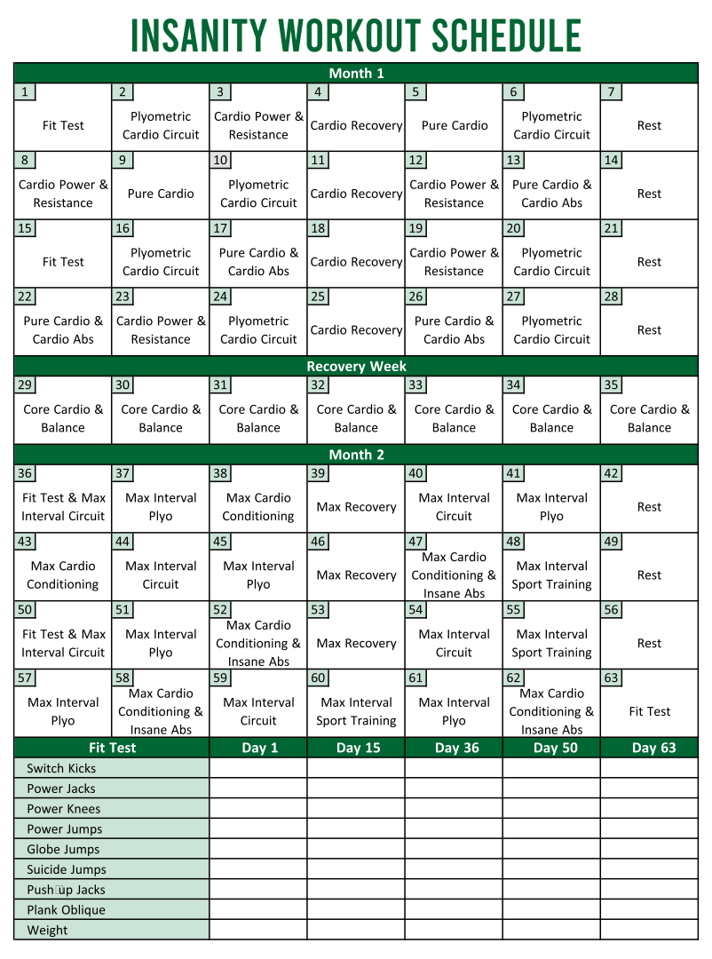 Insanity Workout Calendar Fill And Sign Printable Template Online Worksheets Library