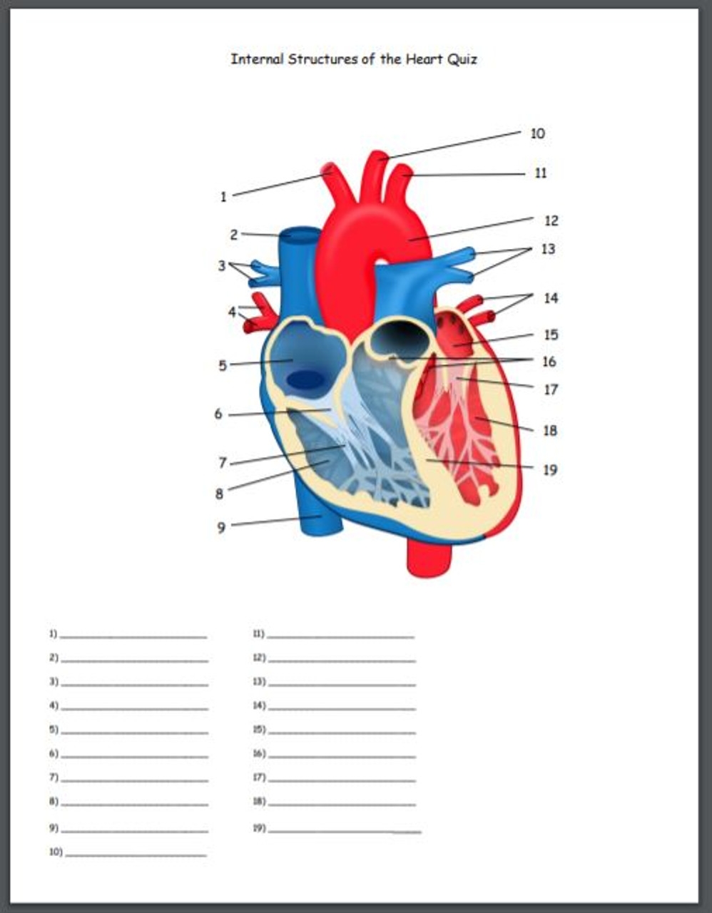 Internal Structures Of The Heart Quiz Amped Up Learning Internal Structures Of The Heart Quiz Amped Up Learning