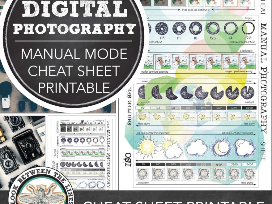 Intro To Photo Guide Manual Mode Cheat Sheet Look Between The Lines
