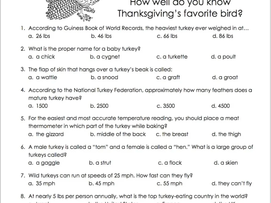 Let s Talk Turkey Trivia Test Flanders Family Home Life