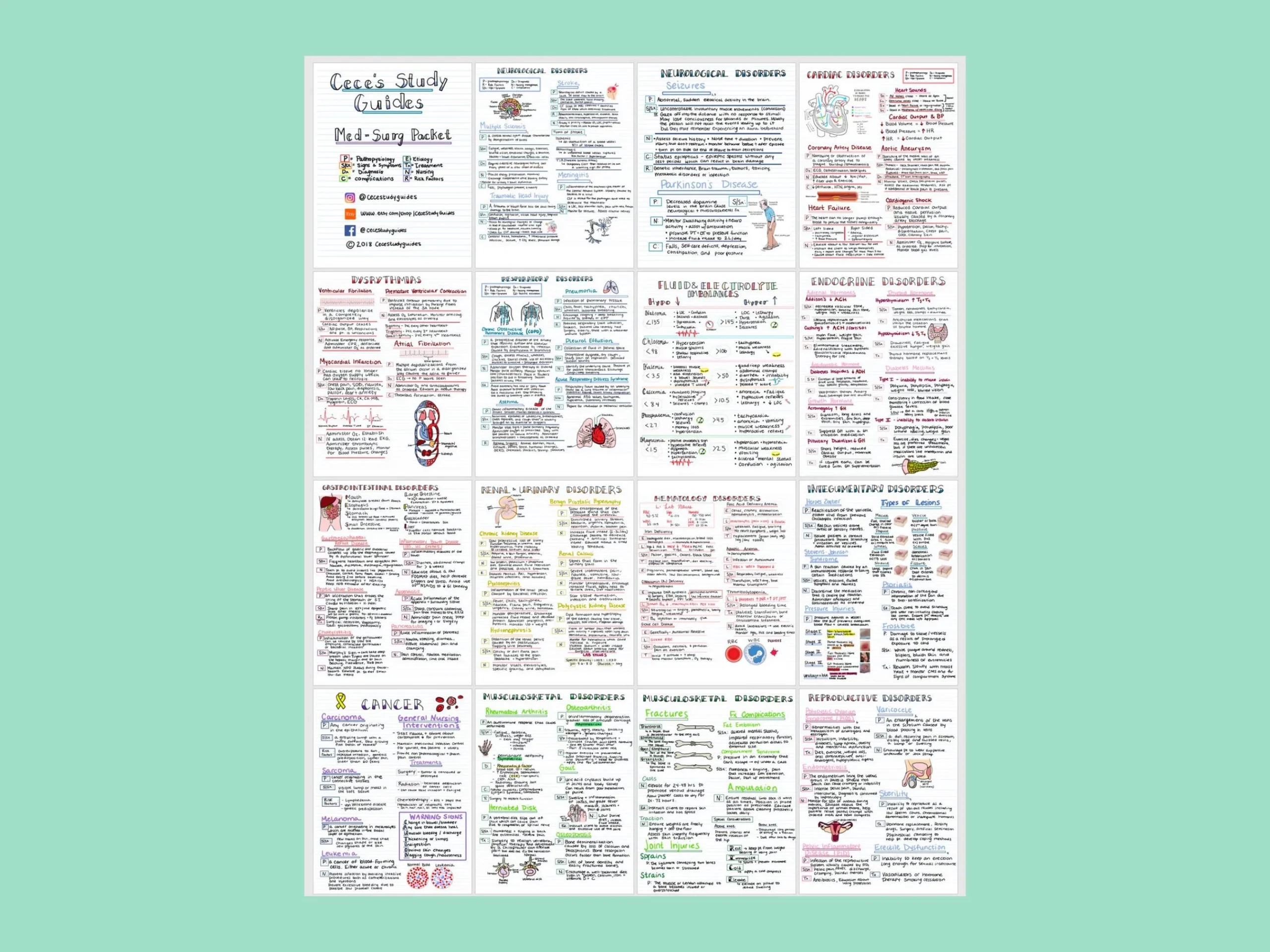 Med Surg Basics Bundle Nursing Study Guide Nursing Cheat Sheet Notes 15 Pages Notes For Nursing Students