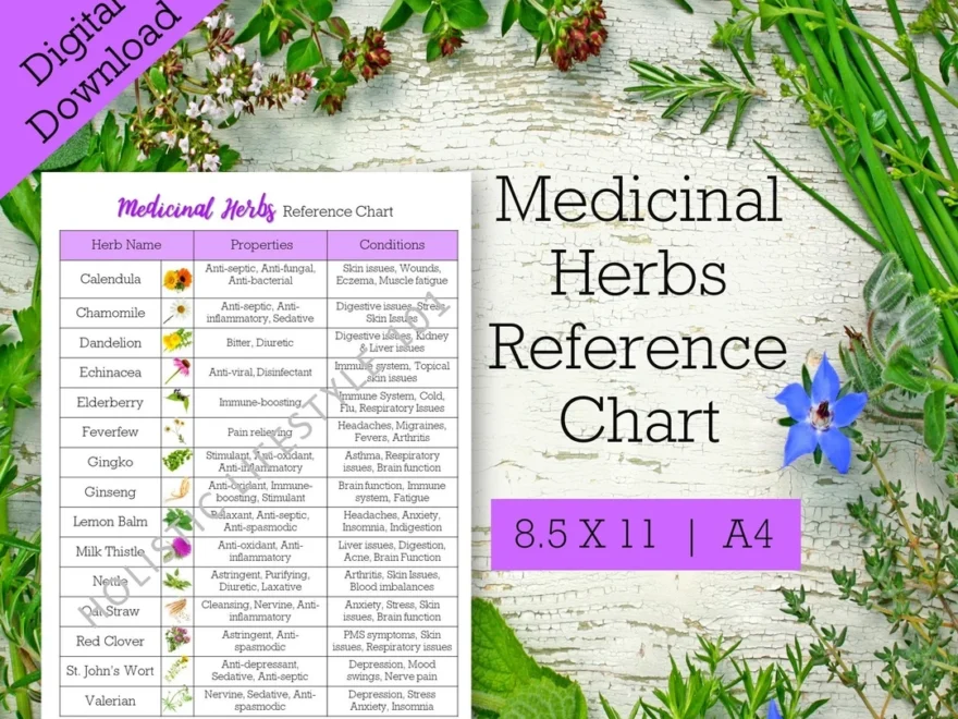 Medicinal Herbs Reference Chart List Of Herbs Printable Herbal Printable Herb Chart Common Herbs Reference Sheet Herbalism Printable Etsy