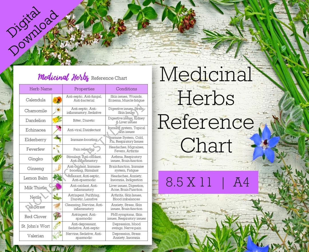 Medicinal Herbs Reference Chart List Of Herbs Printable Herbal Printable Herb Chart Common Herbs Reference Sheet Herbalism Printable Etsy
