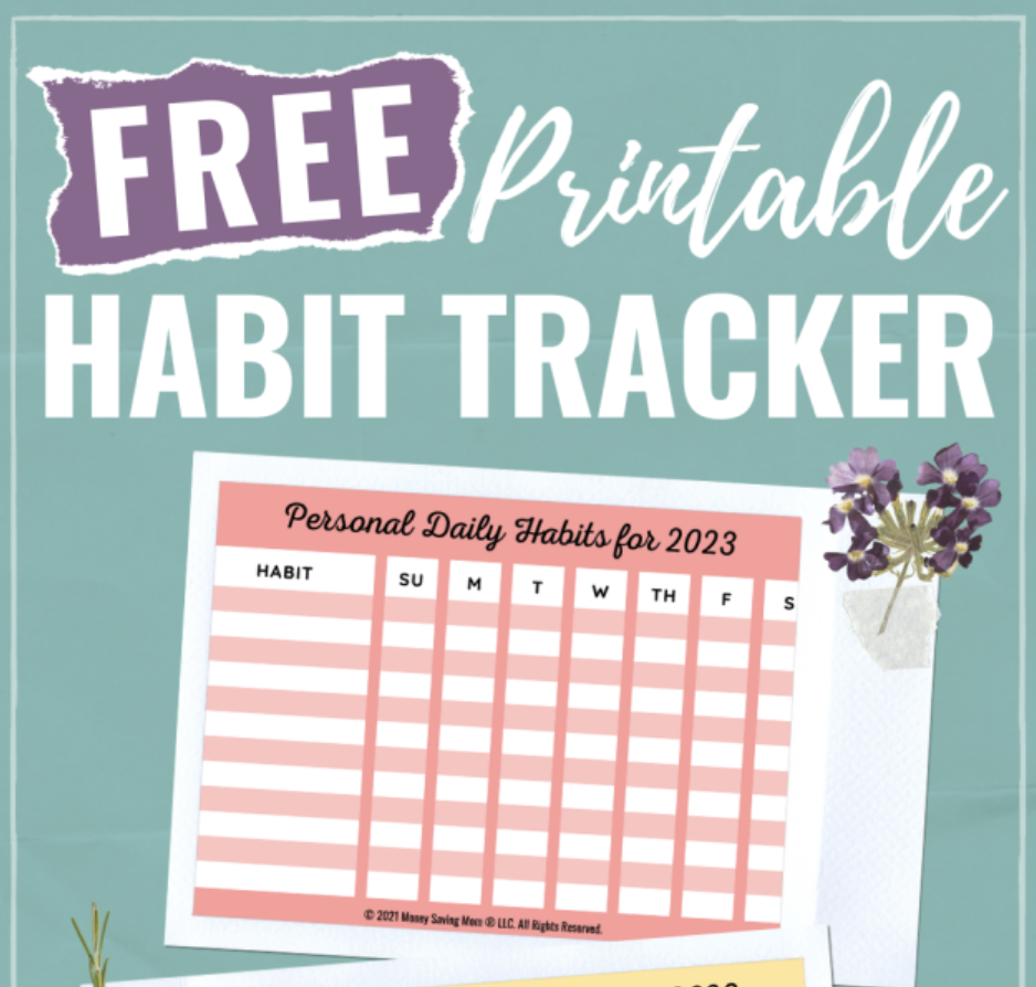 Money Saving Mom Daily Schedule Printable