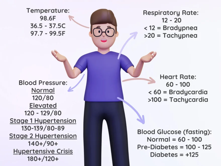 Normal Vital Signs Chart Etsy