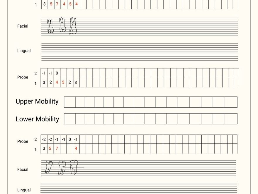 Periodontal Chart For Dentist Office In Illustrator PDF Download Template