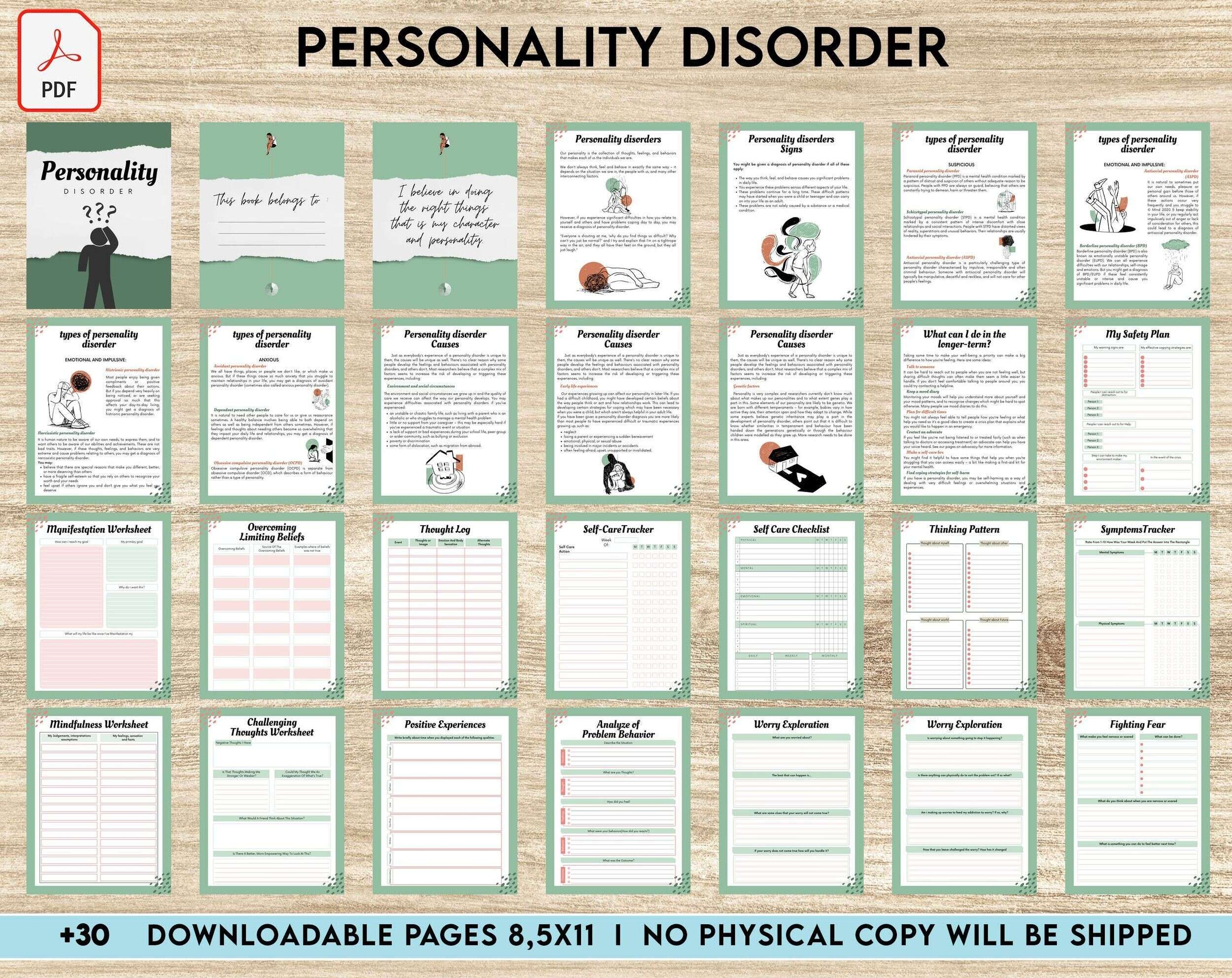 Personality Disorder Bipolar Borderline PDF File 8 5x11 Inch Planners Weekly