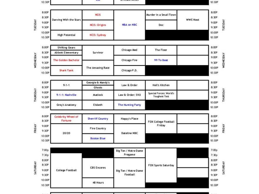 Primetime Program Grid Schedule TVB