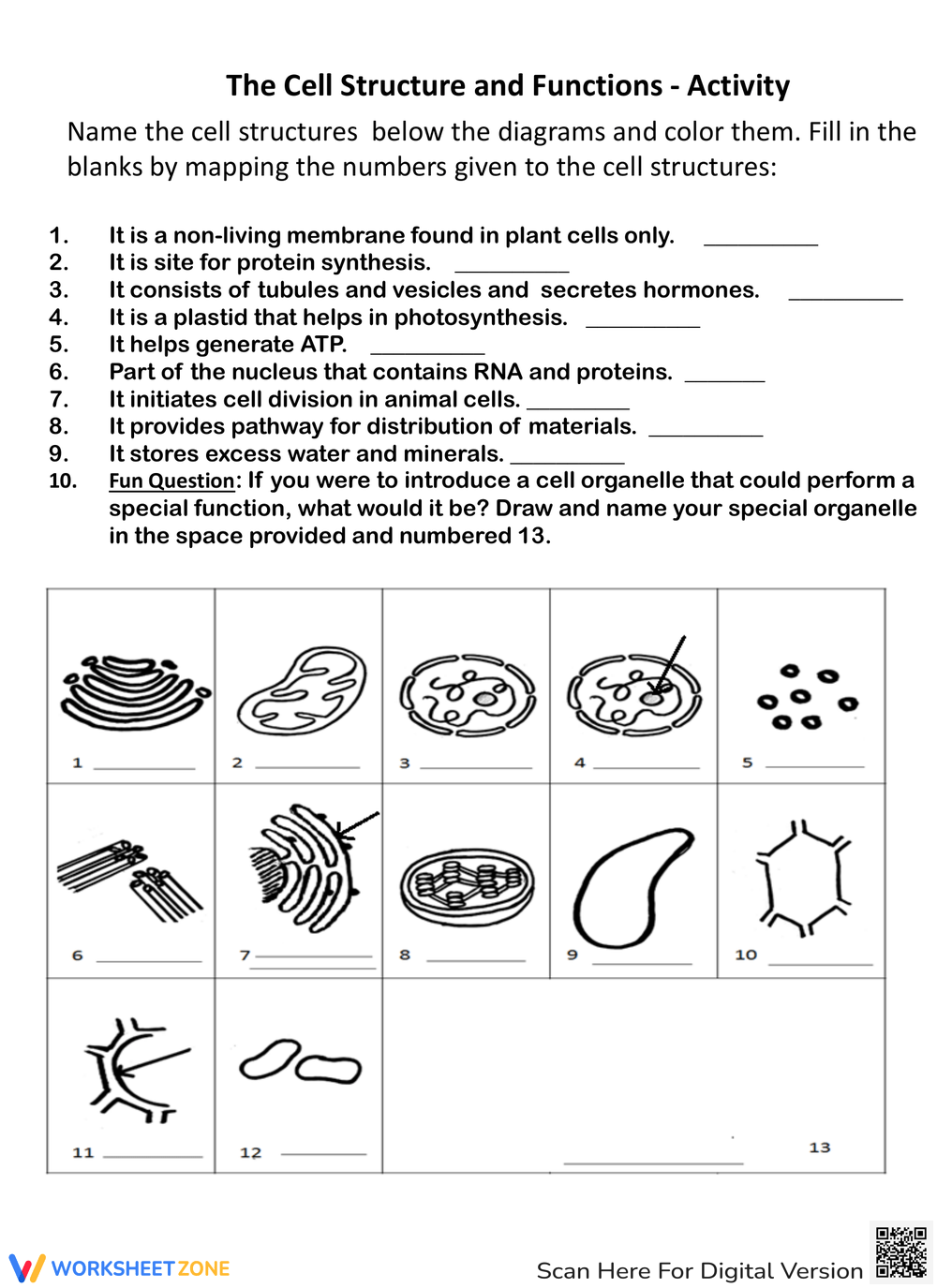Printable Cell Structure And Function Worksheets Download Printable Cell Structure And Function Worksheets Download