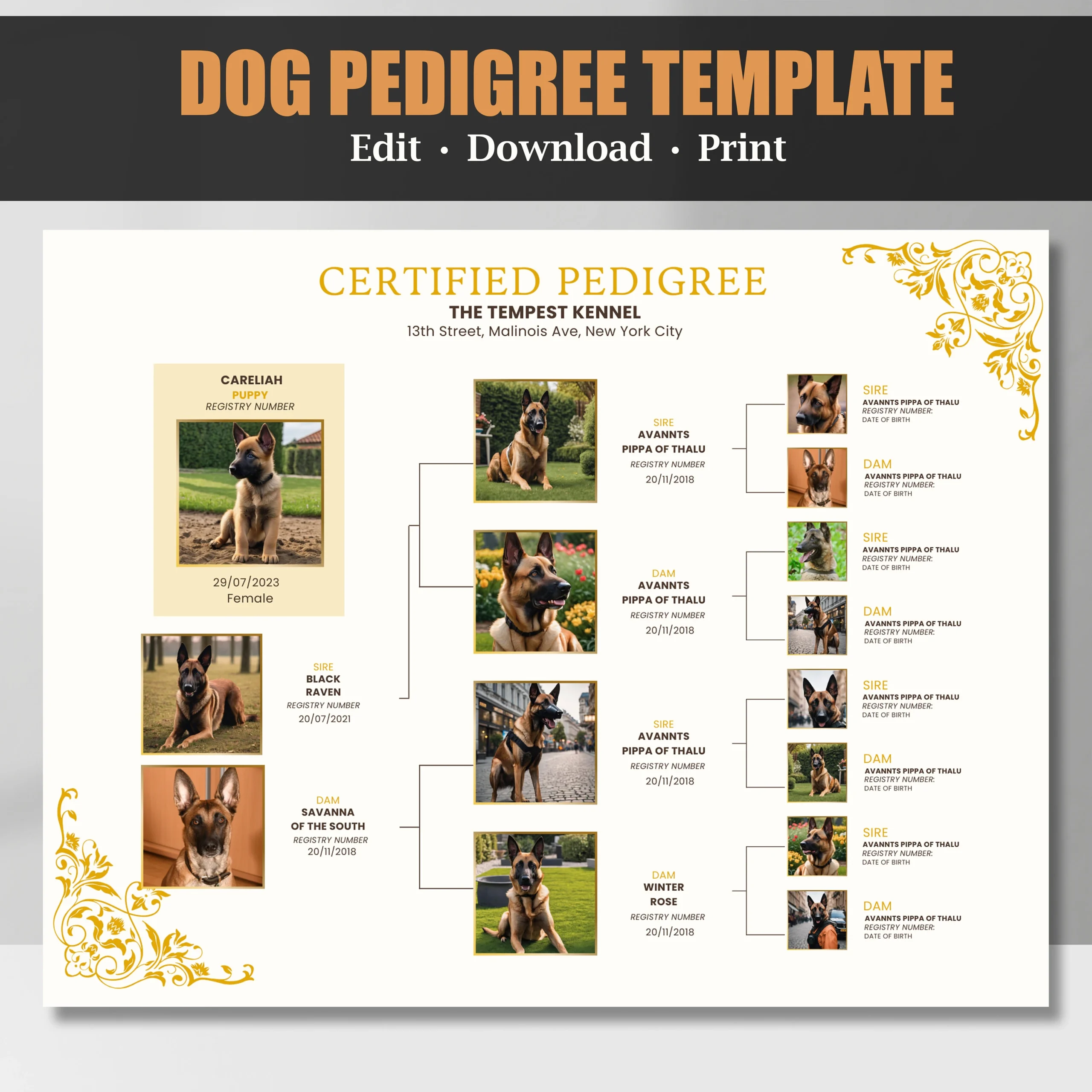 Printable Dog Pedigree Chart