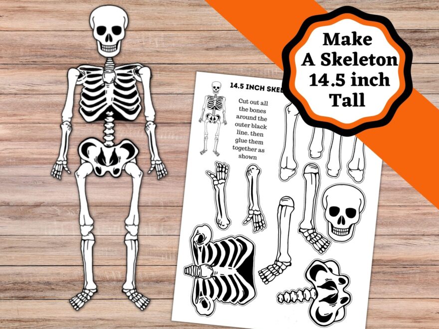 Printable Skeleton Craft 14 5 Inch Skeleton Cut And Glue Craft Easy Skeleton Or Halloween Craft Etsy