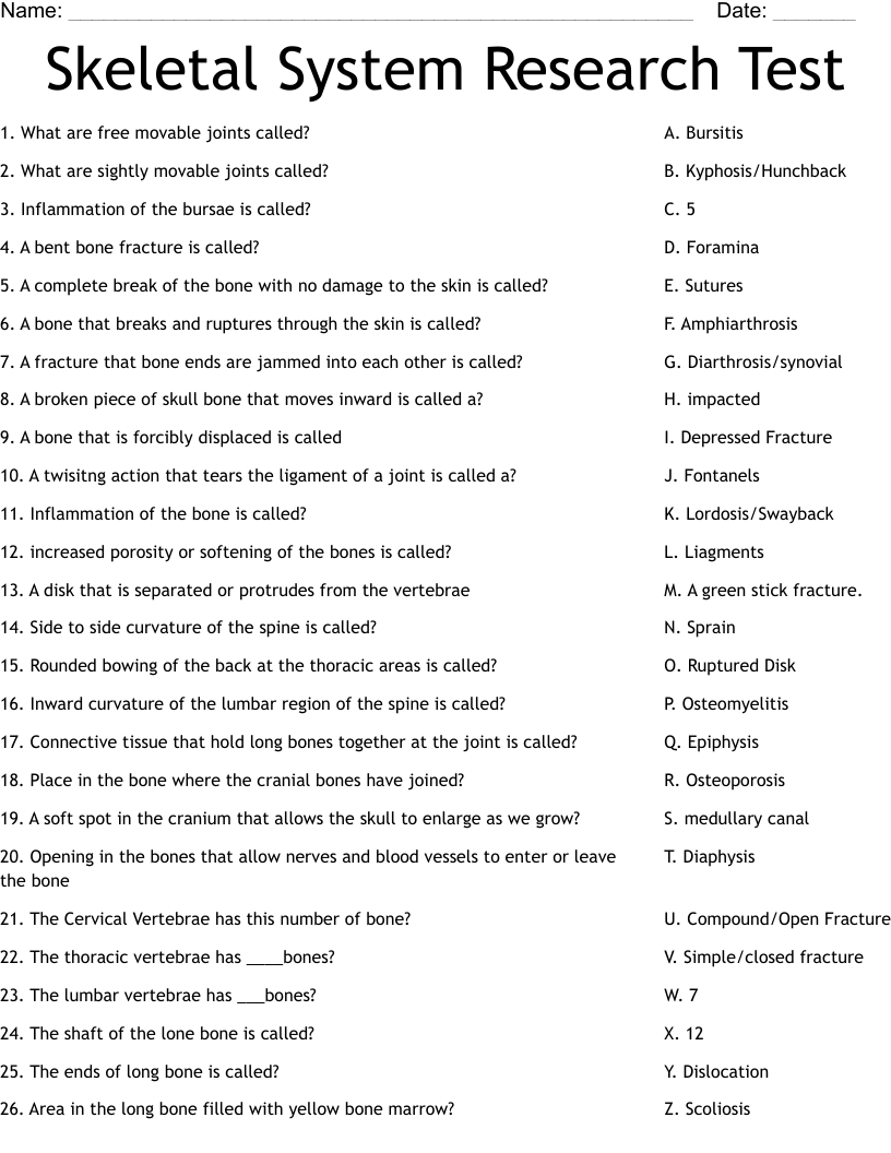 Skeletal System Research Test Worksheet WordMint Skeletal System Research Test Worksheet WordMint