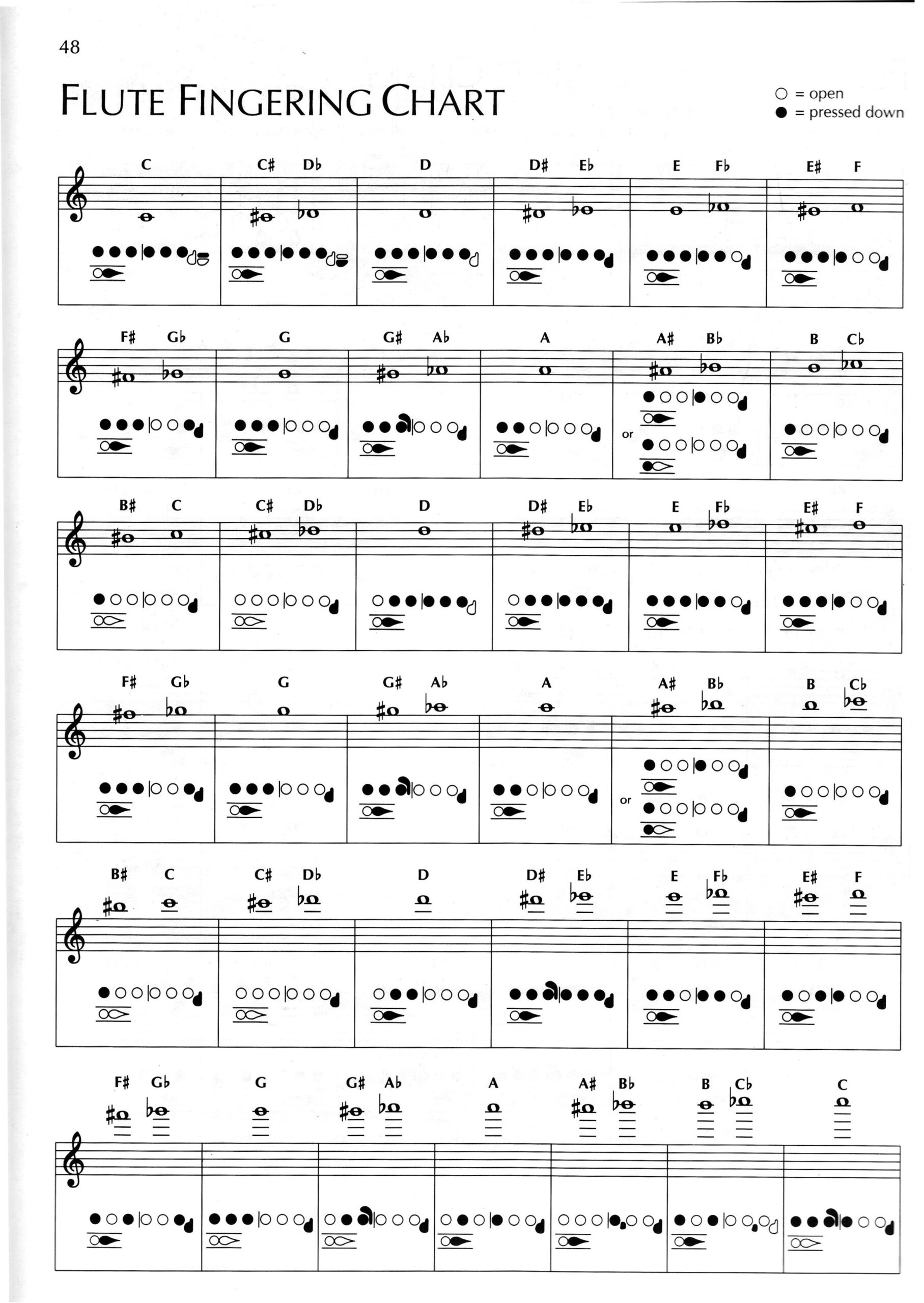 Printable B Flat Flute Finger Chart Printable B Flat Flute Finger Chart