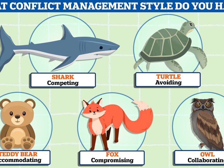 Take MailOnline s Quiz To Reveal Your Conflict Style And What It Says About You Daily Mail Online